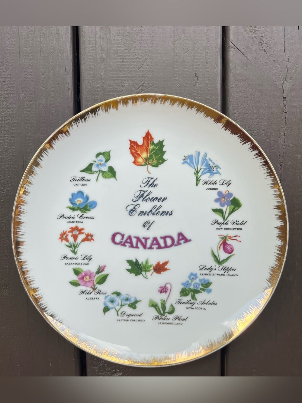 Vintage Napco 1950’s Flower Emblems Of Canada Decorative Plate Gold Trim 10”